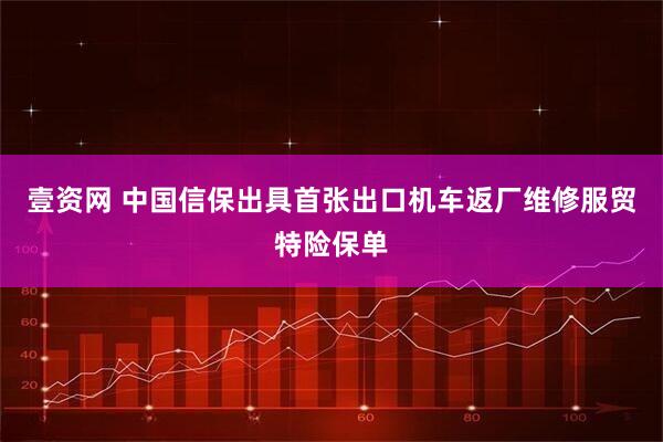 壹资网 中国信保出具首张出口机车返厂维修服贸特险保单