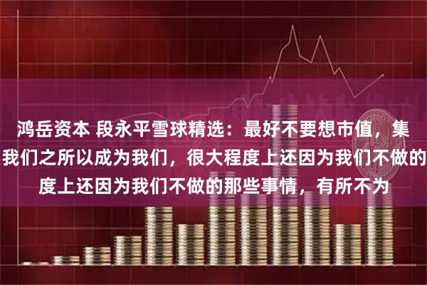 鸿岳资本 段永平雪球精选：最好不要想市值，集中精力看生意！其实我们之所以成为我们，很大程度上还因为我们不做的那些事情，有所不为