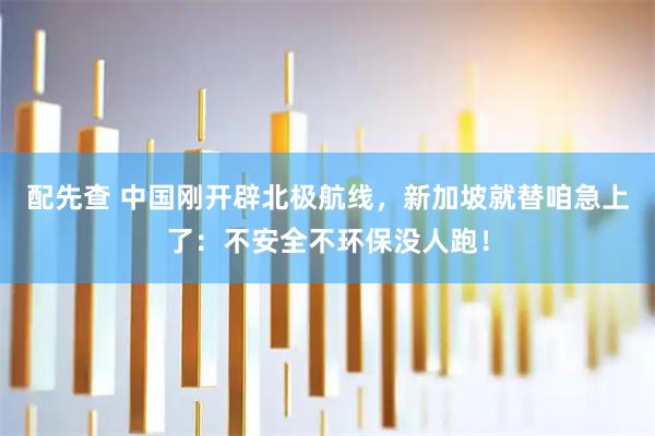 配先查 中国刚开辟北极航线，新加坡就替咱急上了：不安全不环保没人跑！