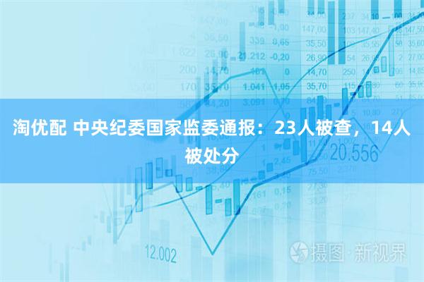 淘优配 中央纪委国家监委通报：23人被查，14人被处分