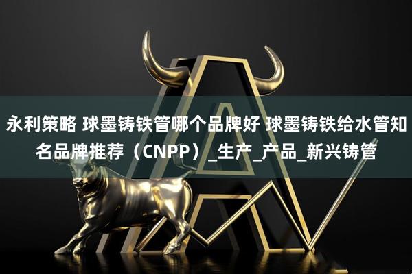 永利策略 球墨铸铁管哪个品牌好 球墨铸铁给水管知名品牌推荐（CNPP）_生产_产品_新兴铸管